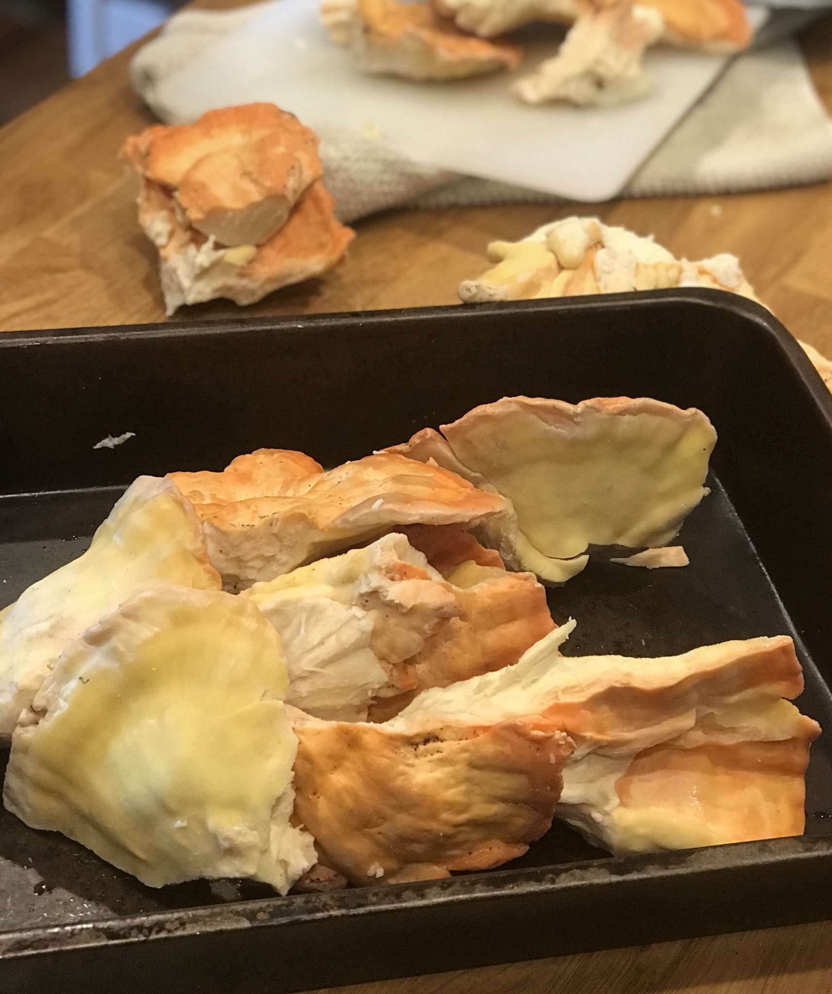 wild foraging east london