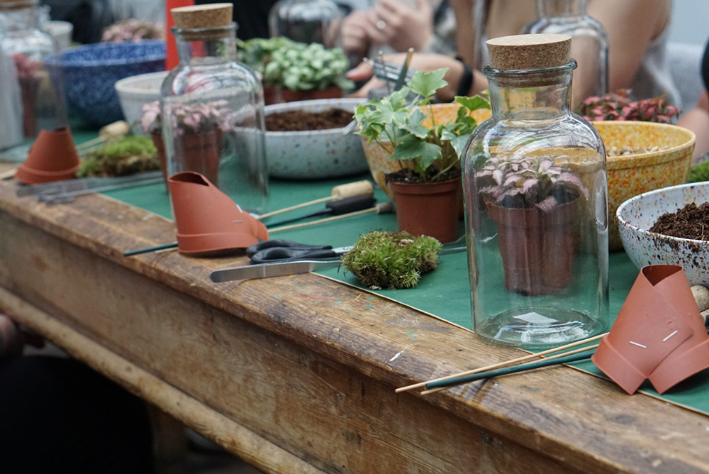 Terranium workshop