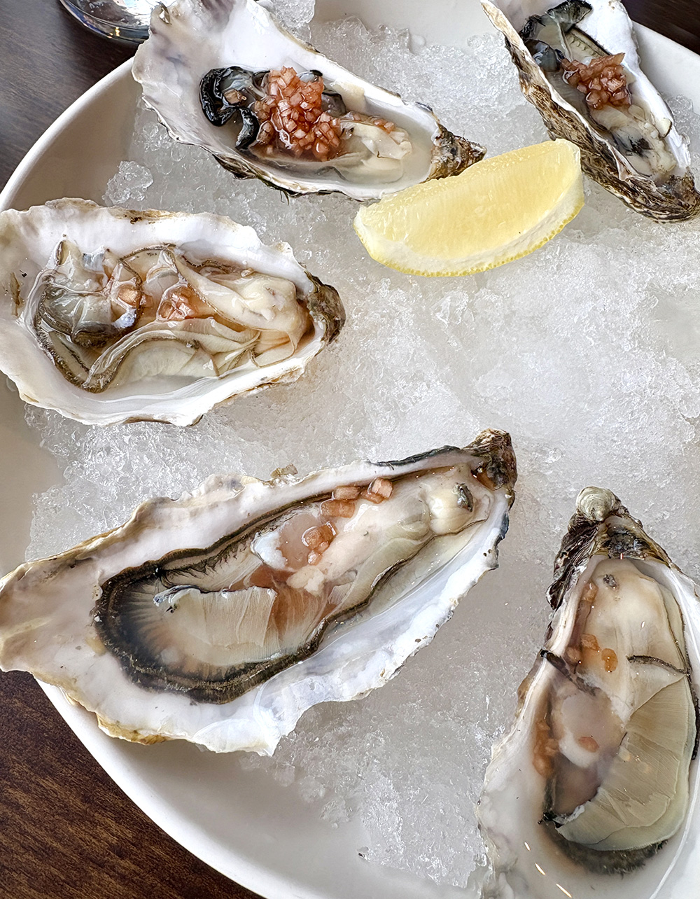 Templar wine bar and restaurant stratford cross, oysters