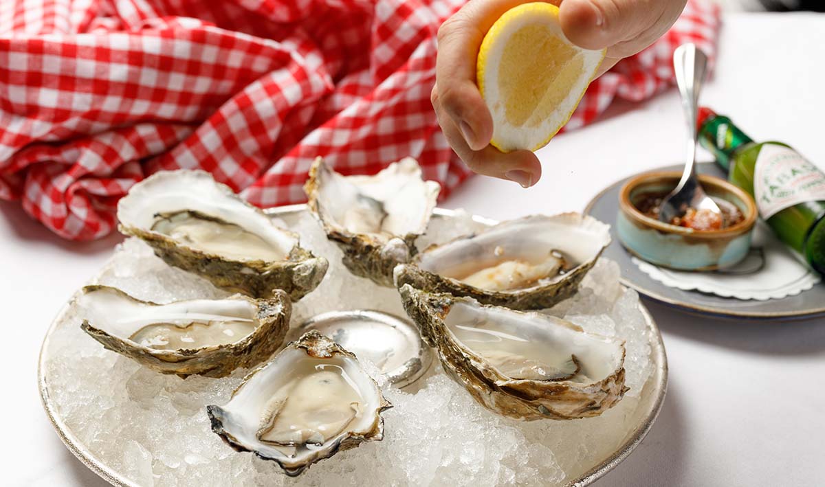 galvin bar and bistro oysters and martinis